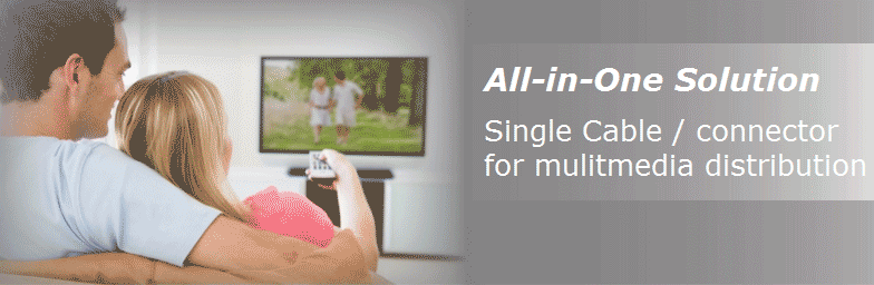 Graphic from HDBaseT Website
