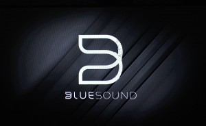 Bluesound Logo