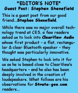 Text about GUEST POST