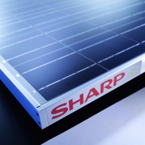 Photo of Sharp solar panel
