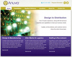 Photo of the Anuva website