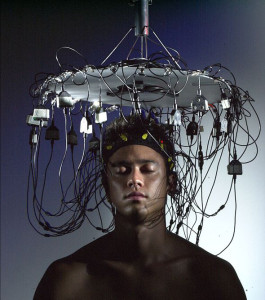 Photo of wild brain scanning system