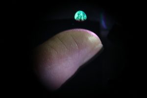 Image of a globe projected over a finger