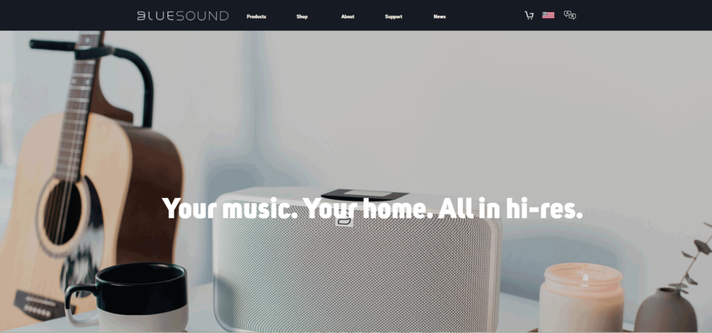 photo of Bluesound website