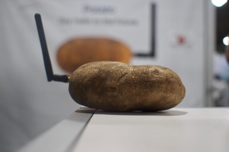 neuraspud 'smart' potato