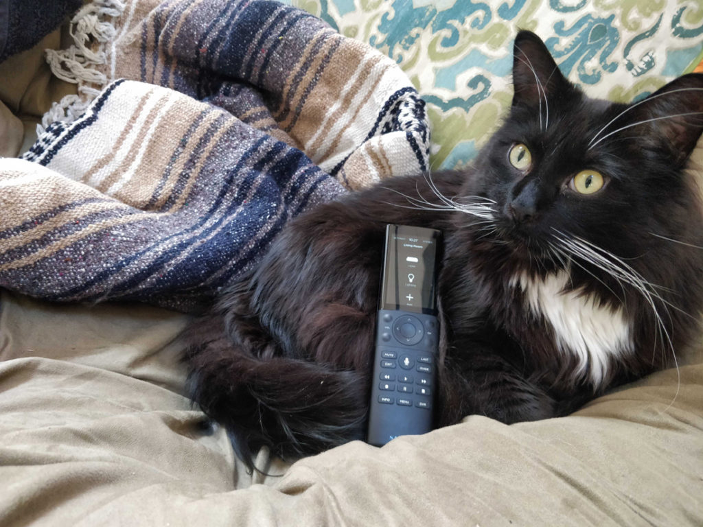 Photo of Savant remote with cat