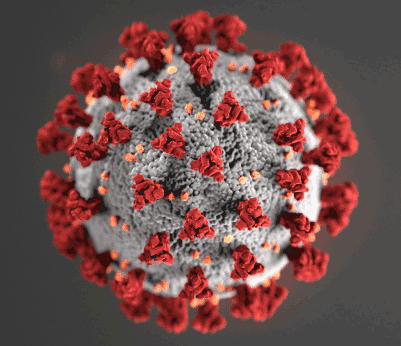 A representation of the COVID-19 virus that has caused a U.S. recession
