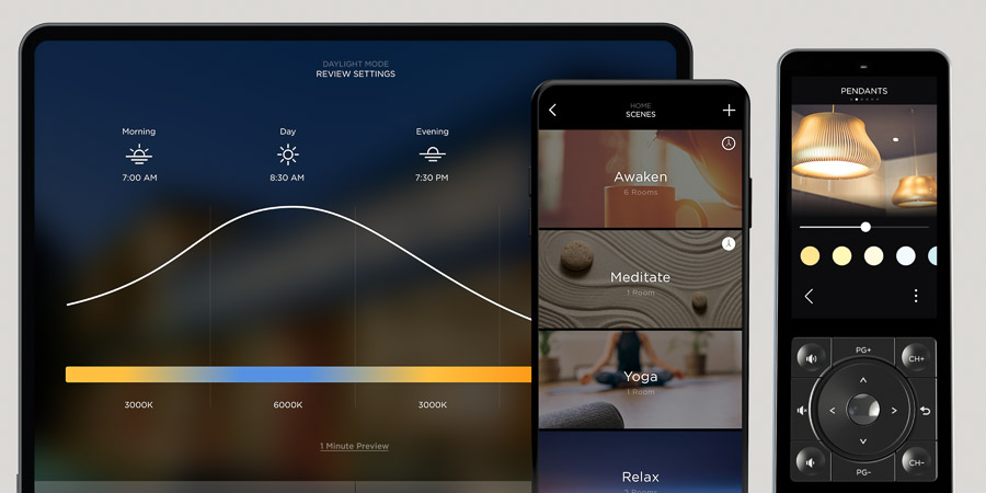 Savant user interface