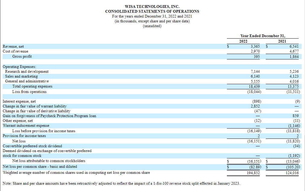 WiSA fiscal 2022 Statements of Operations